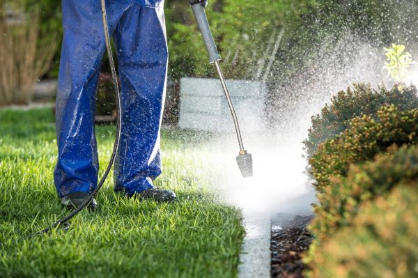 Curb Cleaning in Naples
