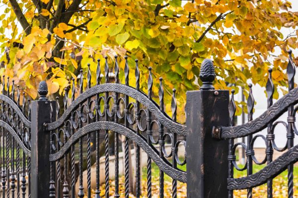 Wrought Iron Fence Washing in Naples