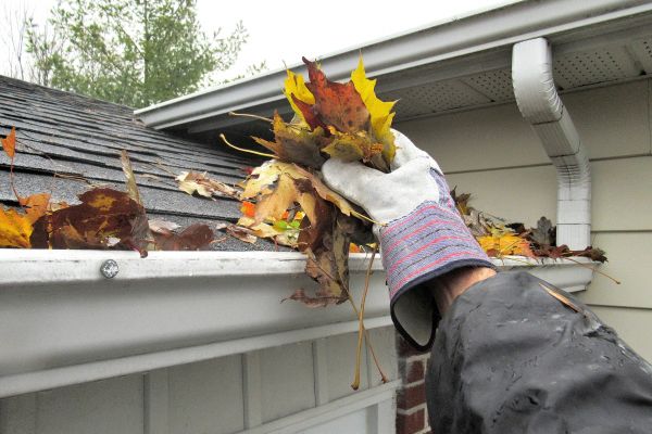 Eaves Cleaning in Naples