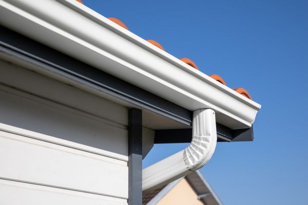 Roofline Cleaning in Naples