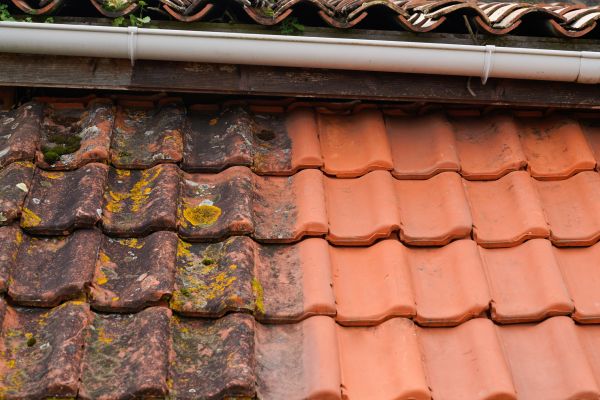 Industrial Roof Cleaning in Naples